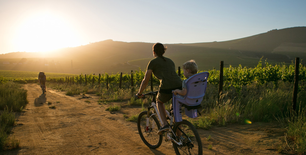 photo of family on bicyles in a rural setting at sunset