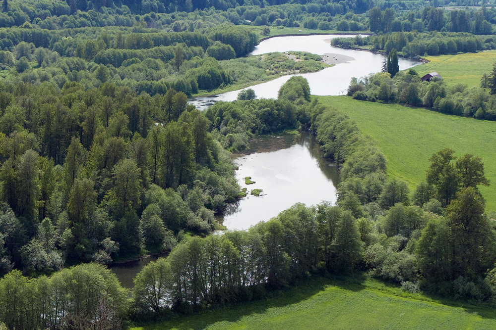 Chehalis River aerial view